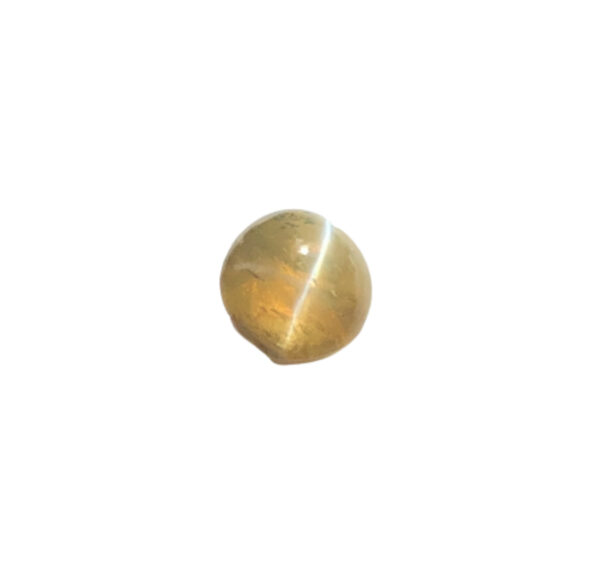 Cat's Eye
